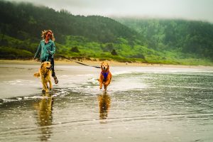 Credit: Beach by Nate Wyeth Visit Del Norte County